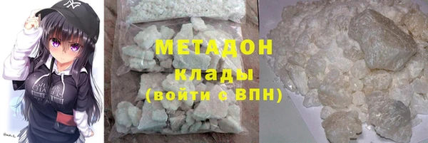 индика Алексин