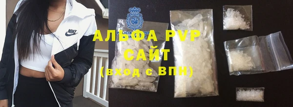индика Алексин