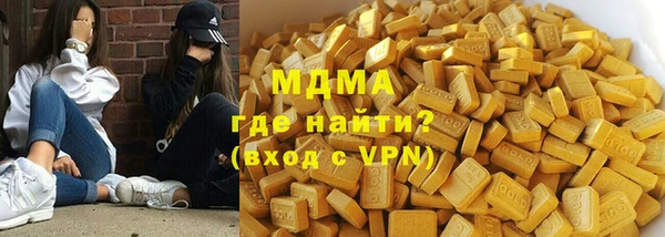 индика Алексин