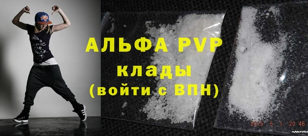 индика Алексин